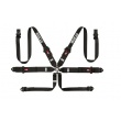 Sparco Competition H-3+2 6 point harnesses