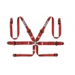 Sparco Competition H-3+2 6 point harnesses