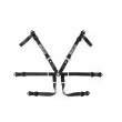 Sparco Formula H-8 6 point harnesses
