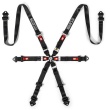 Sparco Pro H-8 Endurande 6 point harnesses