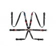 Sparco Pro H-9 Evolution 6-point harnesses