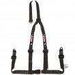 Sandlter Sponsor 3 point ECE (bolt on) harnesses